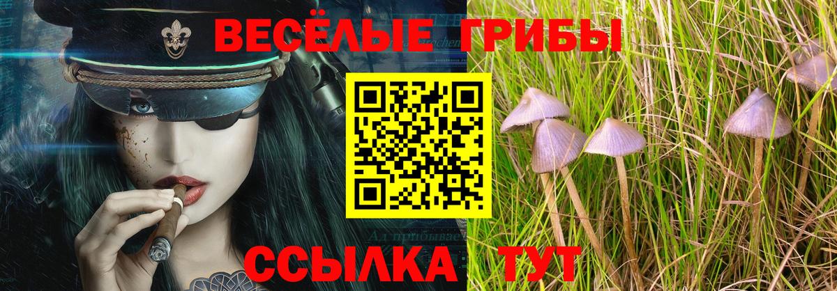Псилоцибиновые грибы MAGIC MUSHROOMS Стрежевой