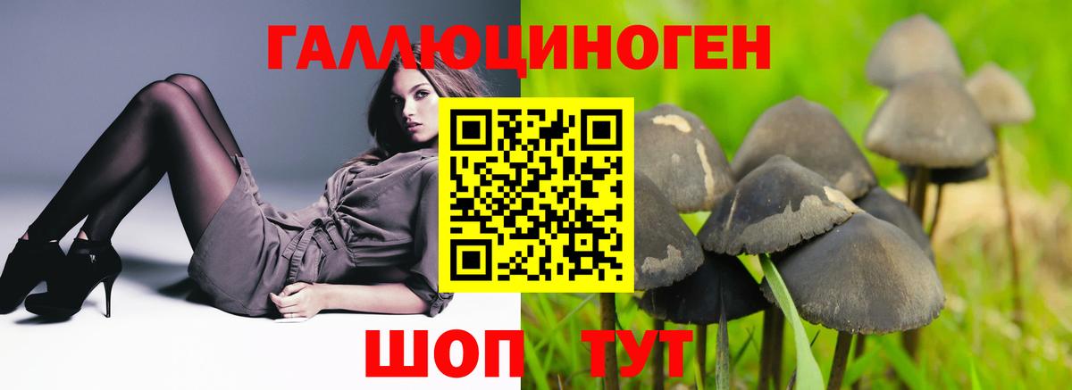 как найти наркотики  Вход с VPN  Стрежевой  Псилоцибиновые грибы ЛСД 